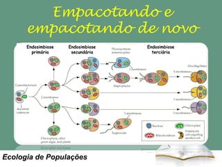 Empacotando e
empacotando de novo
Endosimbiose
primária

Endosimbiose
secundária

Ecologia de Populações

Endosimbiose
terciária

 