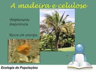 A madeira e celulose
Amplamente
disponíveis
Ricos em energia

Ecologia de Populações

 