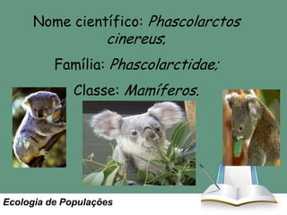 Nome científico: Phascolarctos
cinereus;
Família: Phascolarctidae;
Classe: Mamíferos.

Ecologia de Populações

 