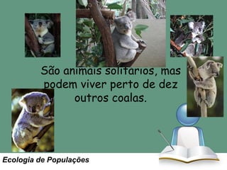 São animais solitários, mas
podem viver perto de dez
outros coalas.

Ecologia de Populações

 