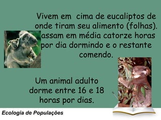 Vivem em cima de eucaliptos de
onde tiram seu alimento (folhas).
Passam em média catorze horas
por dia dormindo e o restante
comendo.
Um animal adulto
dorme entre 16 e 18
horas por dias.
Ecologia de Populações

 