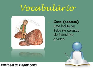 Vocabulário
Ceco (caecum):
uma bolsa ou
tubo no começo
do intestino
grosso

Ecologia de Populações

 