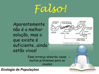 Falso!
Aparentemente
não é a melhor
solução, mas o
que existe é
suficiente…ainda
estão vivos!
Esse arranjo absurdo causa
muitos problemas para os
cavalos

Ecologia de Populações

 