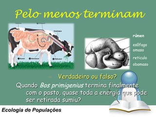 Pelo menos terminam
rúmen
esôfago
omaso

reticulo
obamaso

Verdadeiro ou falso?
Quando Bos primigenius termina finalmente
com o pasto, quase toda a energia que pode
ser retirada sumiu?
Ecologia de Populações

 