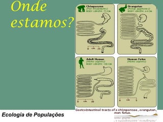 Onde
estamos?

Ecologia de Populações

 