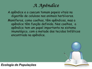 A Apêndice
A apêndice e o caecum tomam papeis vitais na
digestão de celulose nos animais herbívoros.
Mamíferos, como coelhos, têm apêndices, mas a
apêndice têm função definida. Nos coelhos, a
apêndice tem um papel importante no sistema
imunológico, com a metade dos tecidos linfáticos
encontrada na apêndice.

Ecologia de Populações

 