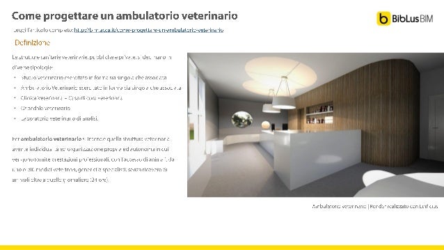 Come progettare un ambulatorio veterinario: guida completa ...