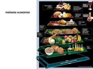 PIRÂMIDE ALIMENTAR