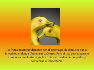 La frutas pasan rápidamente por el estómago, de donde se van al
intestino, en donde liberan sus azúcares. Pero si hay carne, papas o
   almidones en el estómago, las frutas se quedan entrampadas y
                     comienzan a fermentarse.
 
