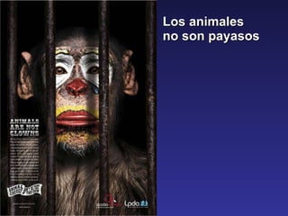 Los animales no son payasos  