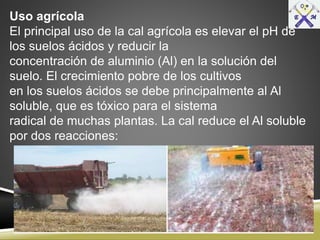 Uso agrícola
El principal uso de la cal agrícola es elevar el pH de
los suelos ácidos y reducir la
concentración de aluminio (Al) en la solución del
suelo. El crecimiento pobre de los cultivos
en los suelos ácidos se debe principalmente al Al
soluble, que es tóxico para el sistema
radical de muchas plantas. La cal reduce el Al soluble
por dos reacciones:
 