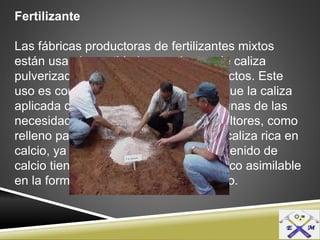 Fertilizante
Las fábricas productoras de fertilizantes mixtos
están usando cantidades crecientes de caliza
pulverizada como relleno en sus productos. Este
uso es completamente lógico, siendo que la caliza
aplicada de esta manera satisface algunas de las
necesidades de encalado de los agricultores, como
relleno para fertilizantes se prefiere la caliza rica en
calcio, ya que esta por su elevado contenido de
calcio tiende a convertir el ácido fosfórico asimilable
en la forma insoluble en citrato amónico.
 
