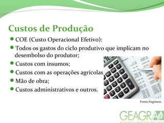 Custos de Produção
COE (Custo Operacional Efetivo):
Todos os gastos do ciclo produtivo que implicam no
desembolso do produtor;
Custos com insumos;
Custos com as operações agrícolas
Mão de obra;
Custos administrativos e outros.
Fonte:Argimon.
 