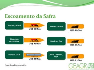 Escoamento da Safra
Fonte: Jornal Agropecuário.
 