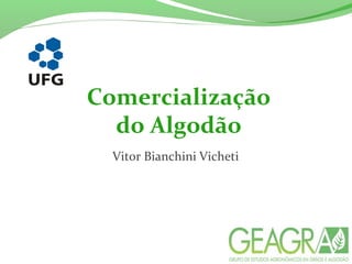 Comercialização
do Algodão
Vitor Bianchini Vicheti
 