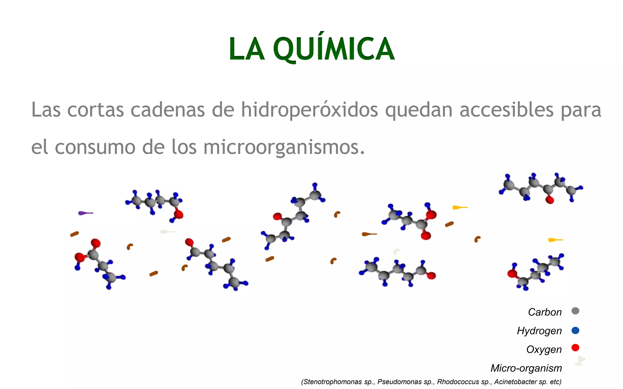 co-compatible plastics

LA QUÍMICA

Las cortas cadenas de hidroperóxidos quedan accesibles para

el consumo de los microorganismos.

Carbon
Hydrogen
Oxygen
Micro-organism
(Stenotrophomonas sp., Pseudomonas sp., Rhodococcus sp., Acinetobacter sp. etc)

 