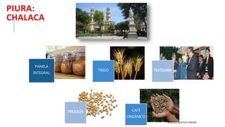 PIURA:
CHALACA
PANELA
INTEGRAL
TRIGO TEXTILERÍA
FREJOLES CAFÉ
ORGÁNICO
MARICIELO BUSTIOS CONDORI
 