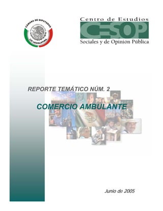 REPORTE TEMÁTICO NÚM. 2


  COMERCIO AMBULANTE




                     Junio de 2005
 