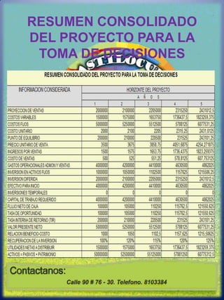 RESUMEN CONSOLIDADO DEL PROYECTO PARA LA TOMA DE DECISIONES