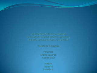 UNIVERSIDAD TECNICA DE AMBATO FACULTAD DE CONTABILIDAD Y AUDITORIA CARRERA COPNTABILIDAD Y AUDITORIATrabajo De E Bussines Pertenece Cheme Eduardo Andres Espin Modulo Optativa Paralelo G   