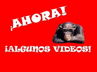 Comercio electronico