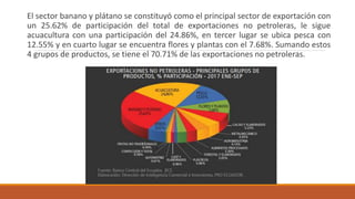 El sector banano y plátano se constituyó como el principal sector de exportación con
un 25.62% de participación del total de exportaciones no petroleras, le sigue
acuacultura con una participación del 24.86%, en tercer lugar se ubica pesca con
12.55% y en cuarto lugar se encuentra flores y plantas con el 7.68%. Sumando estos
4 grupos de productos, se tiene el 70.71% de las exportaciones no petroleras.
 