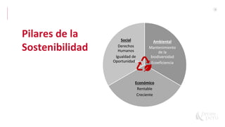 6
Pilares de la
Sostenibilidad
Ambiental
Mantenimiento
de la
biodiversidad
Ecoeficiencia
Económico
Rentable
Creciente
Social
Derechos
Humanos
Igualdad de
Oportunidades
 