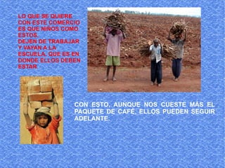 LO QUE SE QUIERE CON ESTE COMERCIO ES QUE NIÑOS COMO ESTOS, DEJEN DE TRABAJAR Y VAYAN A LA ESCUELA, QUE ES EN DONDE ELLOS DEBEN ESTAR .   CON ESTO, AUNQUE NOS CUESTE MÁS EL PAQUETE DE CAFÉ, ELLOS PUEDEN SEGUIR ADELANTE. 