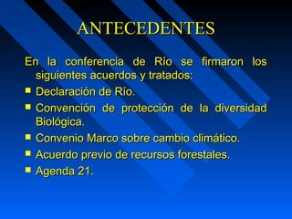 AANNTTEECCEEDDEENNTTEESS 
EEnn llaa ccoonnffeerreenncciiaa ddee RRííoo ssee ffiirrmmaarroonn llooss 
ssiigguuiieenntteess aaccuueerrddooss yy ttrraattaaddooss:: 
 DDeeccllaarraacciióónn ddee RRííoo.. 
 CCoonnvveenncciióónn ddee pprrootteecccciióónn ddee llaa ddiivveerrssiiddaadd 
BBiioollóóggiiccaa.. 
 CCoonnvveenniioo MMaarrccoo ssoobbrree ccaammbbiioo cclliimmááttiiccoo.. 
 AAccuueerrddoo pprreevviioo ddee rreeccuurrssooss ffoorreessttaalleess.. 
 AAggeennddaa 2211.. 
 
