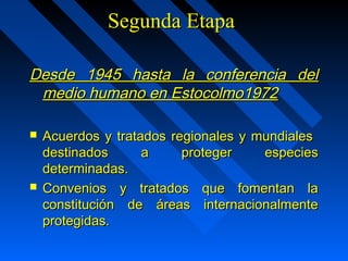 SSeegguunnddaa EEttaappaa 
DDeessddee 11994455 hhaassttaa llaa ccoonnffeerreenncciiaa ddeell 
mmeeddiioo hhuummaannoo eenn EEssttooccoollmmoo1199722 
 AAccuueerrddooss yy ttrraattaaddooss rreeggiioonnaalleess yy mmuunnddiiaalleess 
ddeessttiinnaaddooss aa pprrootteeggeerr eessppeecciieess 
ddeetteerrmmiinnaaddaass.. 
 CCoonnvveenniiooss yy ttrraattaaddooss qquuee ffoommeennttaann llaa 
ccoonnssttiittuucciióónn ddee áárreeaass iinntteerrnnaacciioonnaallmmeennttee 
pprrootteeggiiddaass.. 
 