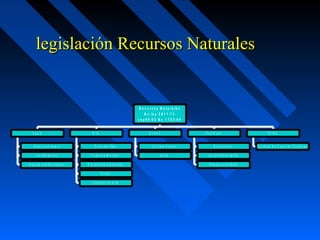legislación RReeccuurrssooss NNaattuurraalleess 
A g u a 
U s o y c o n s u m o 
V e r t i m i e n t o s 
A g u a s s u b t e r r a n e a s 
A i r e 
F u e n t e s f i j a s 
F u e n t e s M o v i l e s 
E m i s i o n e s d i s p e r s a s 
R u i d o 
C a l i d a d d e A i r e 
C o n t a m i n a c i o n 
U s o s 
S u e l o s 
R e s i d u o s 
D i s p o s i c i o n 
A p r o v e c h a m i e n t o 
R e s p o n s a b i l i d a d 
O t r o s 
N o r m a s d e C a r a c t e r E s p e c i a l 
R e c u r s o s N a t u r a l e s 
D c l e y 2 8 1 1 / 7 4 
L e y 9 9 / 9 3 D c 1 7 5 3 / 9 4 
 