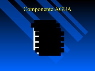 CCoommppoonneennttee AAGGUUAA 
A g u a 
U s o y c o n s u m o 
V e r t im ie n t o s 
A g u a s s u b t e r r a n e a s 
A g u a s M a r in a s 
