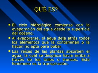 QQUUÉÉ EESS?? 
 EEll cciicclloo hhiiddrroollóóggiiccoo ccoommiieennzzaa ccoonn llaa 
eevvaappoorraacciióónn ddeell aagguuaa ddeessddee llaa ssuuppeerrffiicciiee 
ddeell ooccééaannoo.. 
 AAll eevvaappoorraarrssee,, eell aagguuaa ddeejjaa aattrrááss ttooddooss 
llooss eelleemmeennttooss qquuee llaa ccoonnttaammiinnaann oo llaa 
hhaacceenn nnoo aappttaa ppaarraa bbeebbeerr 
 LLaass rraaíícceess ddee llaass ppllaannttaass aabbssoorrbbeenn eell 
aagguuaa,, llaa ccuuaall ssee ddeessppllaazzaa hhaacciiaa aarrrriibbaa aa 
ttrraavvééss ddee llooss ttaallllooss oo ttrroonnccooss.. EEssttee 
ffeennóómmeennoo eess llaa ttrraannssppiirraacciióónn.. 
 