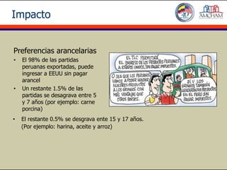 Impacto


Preferencias arancelarias
•   El 98% de las partidas
    peruanas exportadas, puede
    ingresar a EEUU sin pagar
    arancel
•   Un restante 1.5% de las
    partidas se desagrava entre 5
    y 7 años (por ejemplo: carne
    porcina)
•   El restante 0.5% se desgrava ente 15 y 17 años.
    (Por ejemplo: harina, aceite y arroz)
 