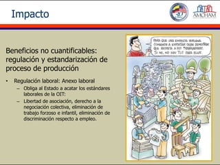 Impacto


Beneficios no cuantificables:
regulación y estandarización de
proceso de producción
•   Regulación laboral: Anexo laboral
     – Obliga al Estado a acatar los estándares
       laborales de la OIT:
     – Libertad de asociación, derecho a la
       negociación colectiva, eliminación de
       trabajo forzoso e infantil, eliminación de
       discriminación respecto a empleo.
 