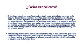 ¿ Sabias esto del cerdo?
• El cerdo es un animal carroñero, quiere decir es un animal que come de todo,
basura, desperdicios, animales muertos, excrementos. Sumemos a esto, que
tiene un Sistema digestivo muy simple, procesa su comida solo en 4 horas que
no son suficientes para eliminar las toxinas o infecciones que hingiere. A demás
el cerdo no tiene glándulas para sudar, por lo que no expulsa apropiadamente
las toxinas, y estas quedan alojadas en su grasa y carne. Las cuales pasan a los
platos de muchas personas por no a ver sido eliminadas apropiadamente y eso
no es nada bueno.
• Muchos argumentan que comer cerdo el día de hoy es mas saludable que en los
tiempos Bíblicos. Pero esto no es verdad . El día de hoy el cerdo sigue siendo un
cerdo no cambia su fisiología pese a los procesos industriales. Esto no invalida
la advertencia de la ley de Dios.
 