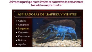 Animales impuros que hacen limpieza de excremento de otros animales
hasta de los cuerpos muertos
 