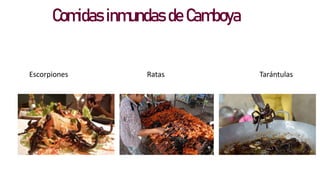 Comidas inmundas de Camboya
Escorpiones Ratas Tarántulas
 