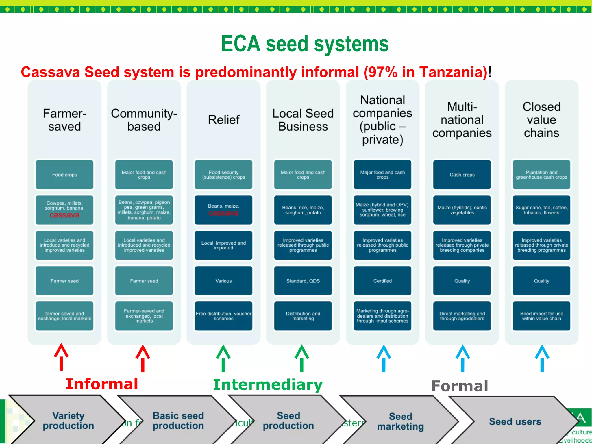 Seed Distribution System Cassava Seed Multiplication and Distribution of Improved New Varieties ...