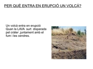 PER QUÈ ENTRA EN ERUPCIÓ UN VOLCÁ? Un volcà entra en erupció Quan la LAVA  surt  disparada pel cràter ,juntament amb el  fum i les cendres. 