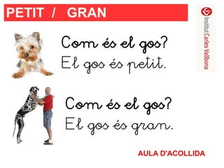 PETIT / GRAN
Com és el gos?
El gos és petit.
Com és el gos?
El gos és gran.
AULA D'ACOLLIDA

 