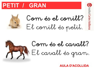 PETIT / GRAN
Com és el conill?
El conill és petit.
Com és el cavall?
El cavall és gran.
AULA D'ACOLLIDA

 