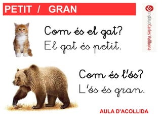 PETIT / GRAN
Com és el gat?
El gat és petit.
Com és l'ós?
L'ós és gran.
AULA D'ACOLLIDA

 