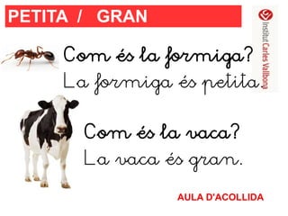 PETITA / GRAN
Com és la formiga?
La formiga és petita.
Com és la vaca?
La vaca és gran.
AULA D'ACOLLIDA

 