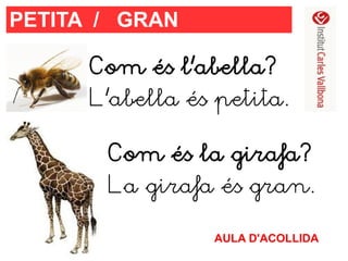 PETITA / GRAN
Com és l'abella?
L'abella és petita.
Com és la girafa?
La girafa és gran.
AULA D'ACOLLIDA

 