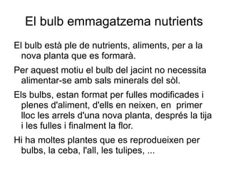 Com s'alimenta aquesta planta? 