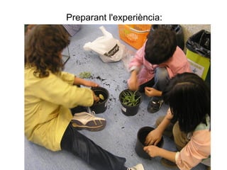 Preparant l'experiència: 