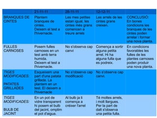 21-11-11 28-11-11 12-12-11 BRANQUES DE CINTES Plantem branques de cintes. Deixem el test a l'hivernacle. Les mes petites estan igual, les cintes més grans comencen a treure arrels Les arrels de les cintes grans creixen. CONCLUSIÓ: En bones condicions les branques de les cintes poden arrelar i formar una nova planta. FULLES CARNOSES Posem fulles carnoses en un test amb terra humida. Deixem el test a l'hivernacle. No s'observa cap canvi Comença a sortir alguna petita arrel. Hi ha alguna fulla que es podreix. En condicions favorables les fulles de les plantes carnoses poden produir una nova planta. TIGES MODIFICADES:   PATATES GRILLADES Esqueixem una part d'una patata grillada. La plantem en un test. El deixem a l'hivernacle No s'observa cap modificació No s'observa cap canvi. TIGES MODIFICADES:  BULB DE JACINT En un pot de vidre transparent hi posem el bulb del jacint, omplim el pot d'aigua. Al bulb ja li comença a créixer l'arrel Té moltes arrels, i molt llargues. Per la part de dalt s'observa una petita fulla. 