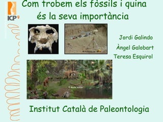 Com trobem els fòssils i quina és la seva importància  Jordi Galindo Àngel Galobart Teresa Esquirol Institut Català de Paleontologia © FOSSILIA  © Meike Köhler 