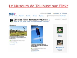 Le Museum de Toulouse sur Flickr
 